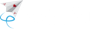 カジノスカイ logo
